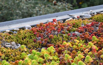 the cost of Saxtead Little Green green roof installation