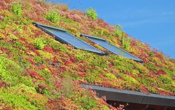 Saxtead Little Green living roof systems