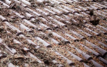 Saxtead Little Green roof cleaning companies