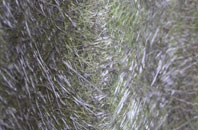 Saxtead Little Green fibreglass roof work